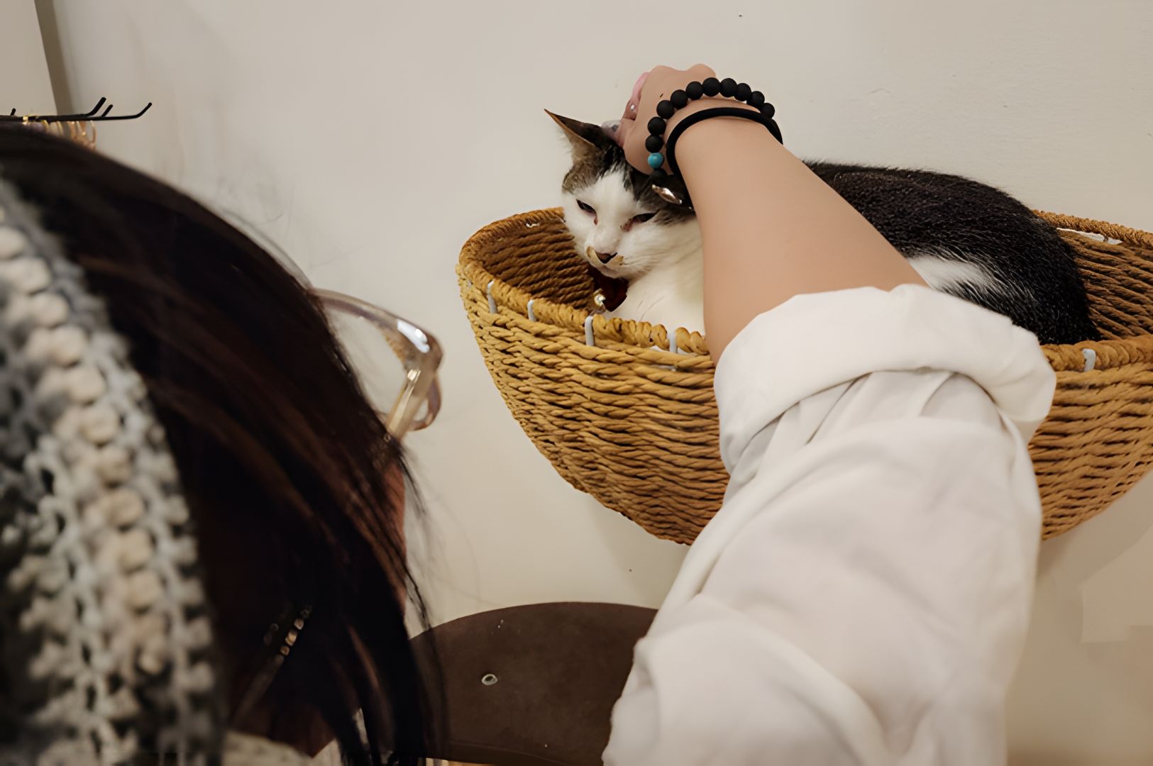 A person gently pets a black and white cat lounging in a cozy, wall-mounted wicker basket. The scene conveys a warm, tender connection.