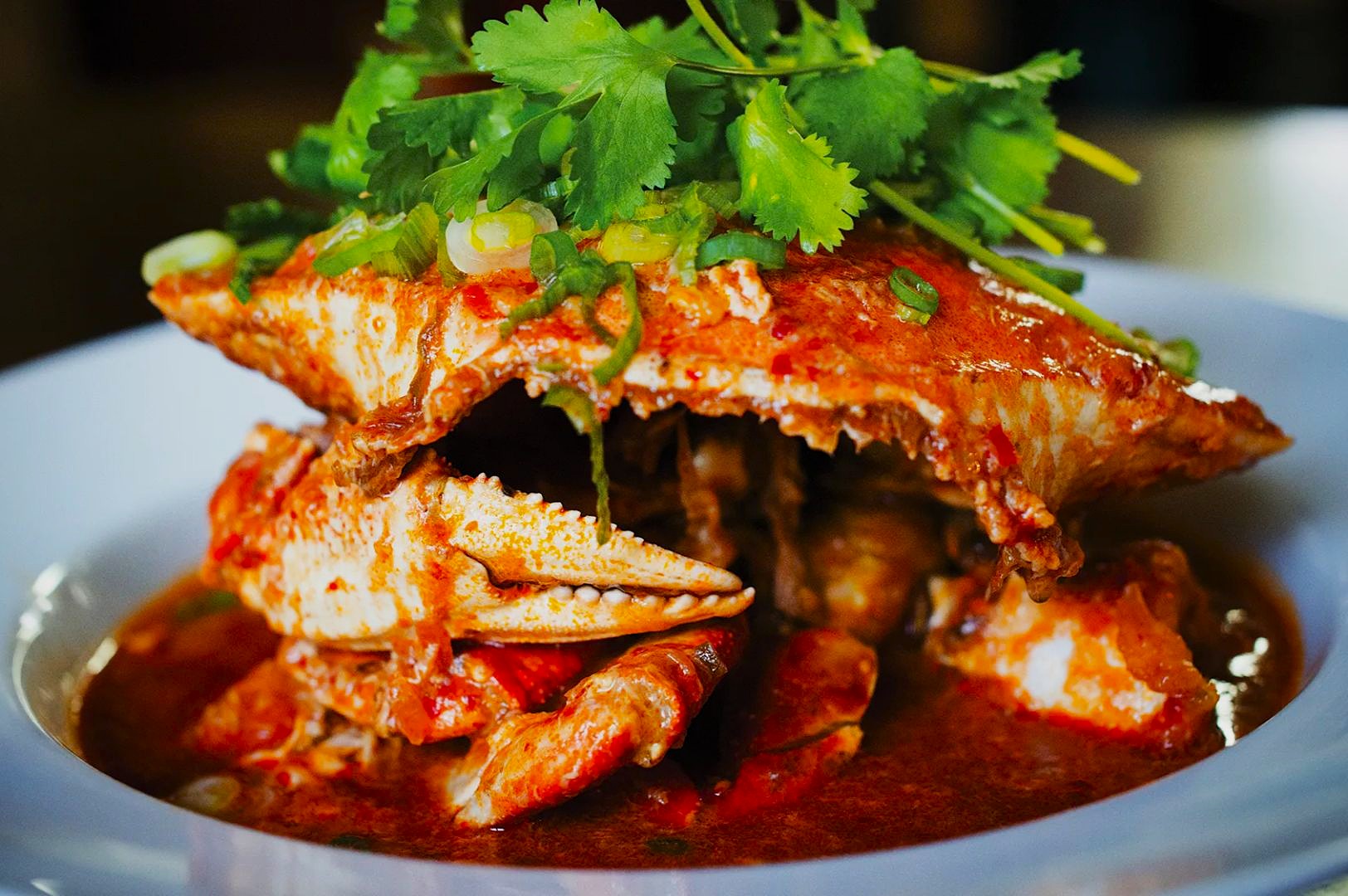 Spicy crab dish with sauce on a white plate, garnished with fresh cilantro and chopped green onions, evoking a vibrant and appetizing presentation.