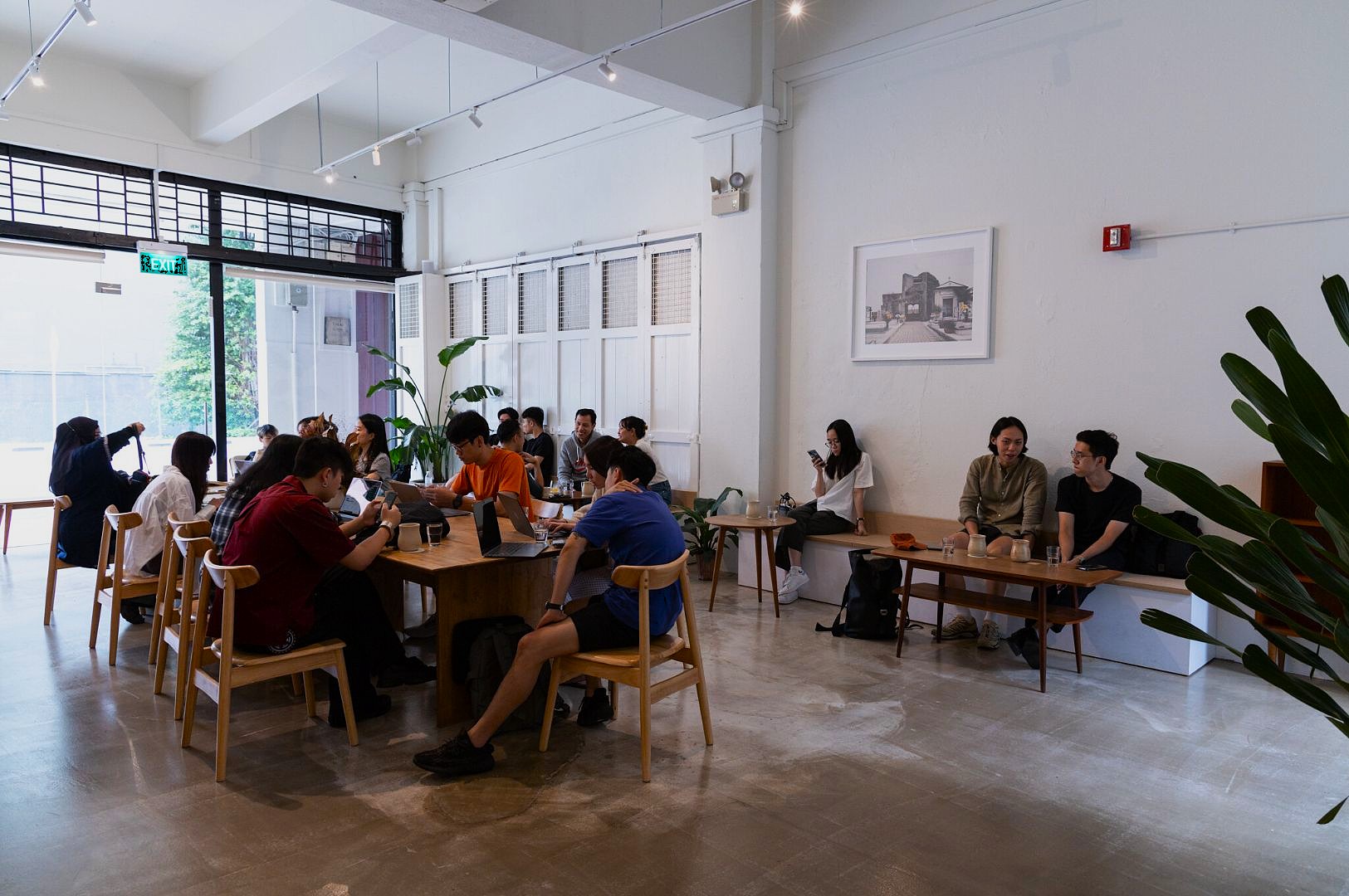 A group of people sit at wooden tables in a bright, airy café, some using laptops and others chatting. Green plants and a framed photo adorn the white walls.
