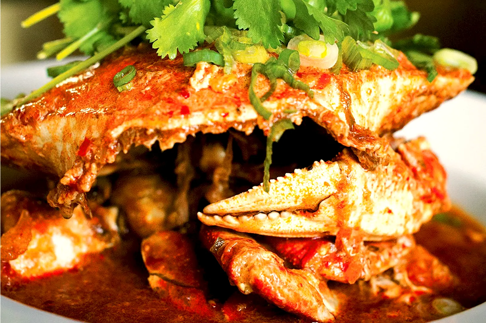 Spicy crab dish covered in a vibrant red sauce, garnished with fresh cilantro and green onions. The sauce drips enticingly, creating a savory look.