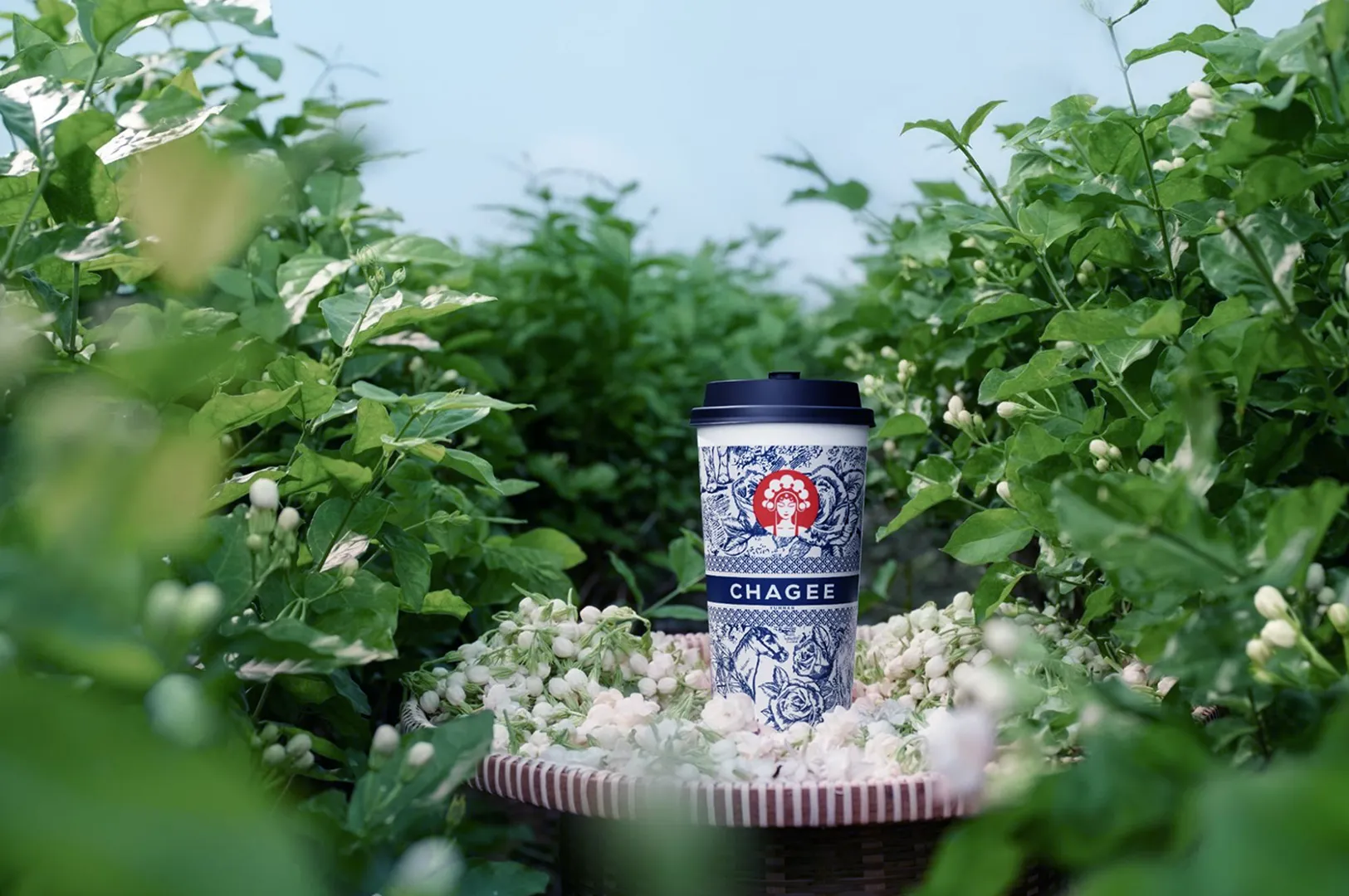 A Chagee cup with intricate blue patterns sits on a basket surrounded by lush green leaves and white jasmine flowers, conveying freshness and tranquility.