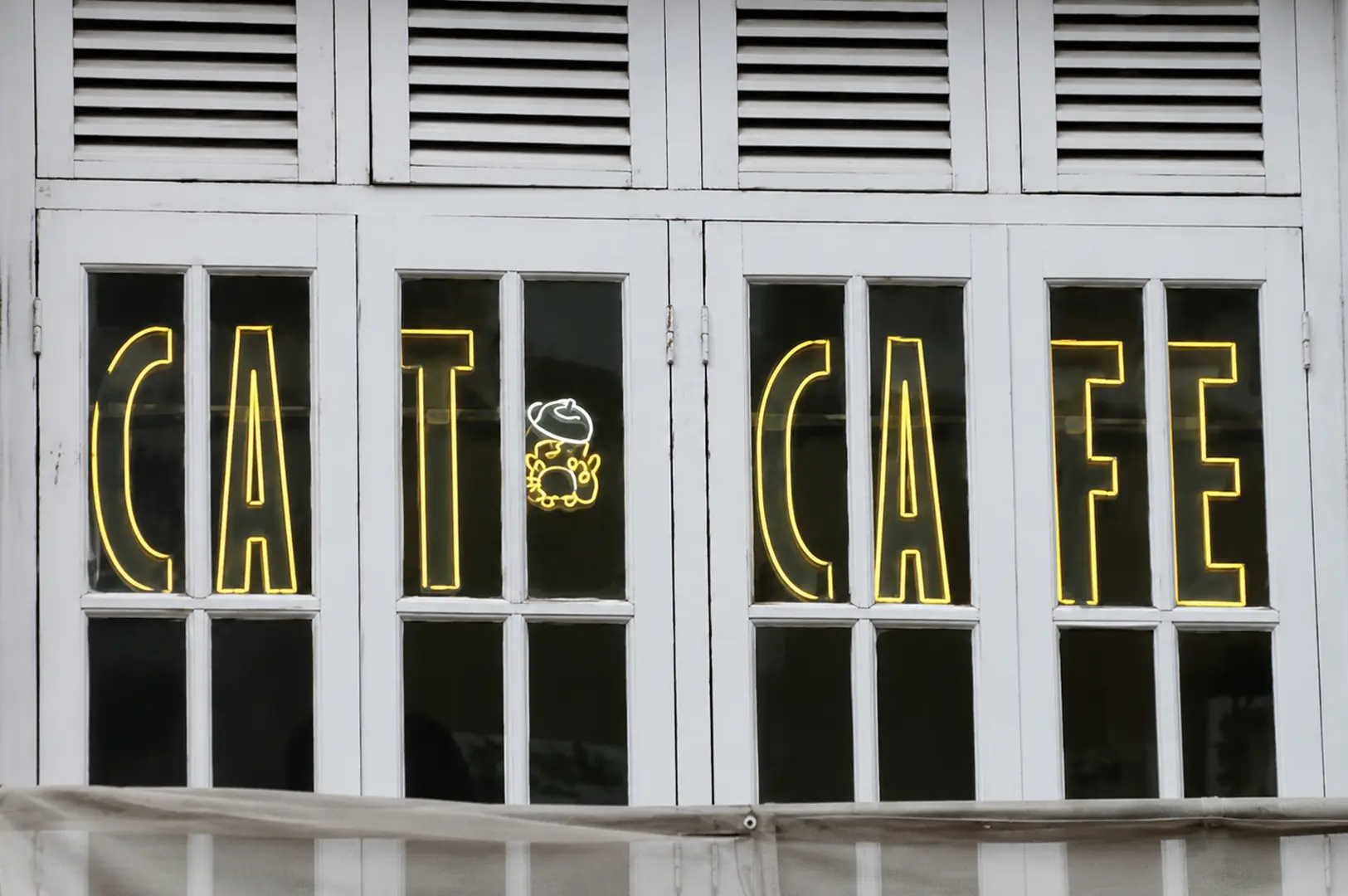A storefront window featuring bright yellow neon letters spelling "CAT CAFE" with a small neon cat wearing a beret in the center