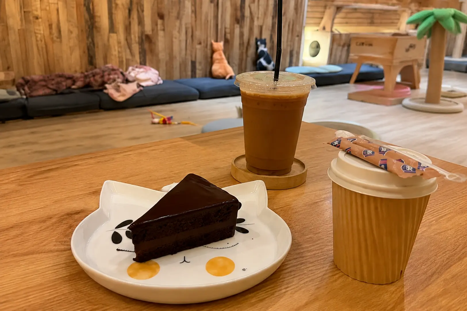 Chocolate cake, coffee, and iced latte served on cat-themed tableware with the spacious Meomi Cat Cafe cat lounge in the background.