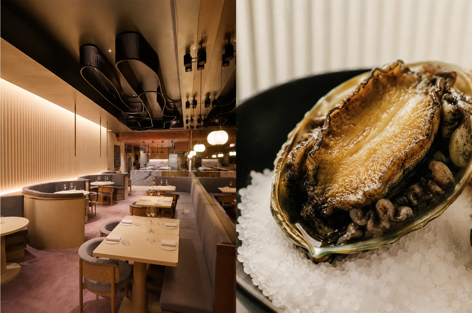 Meta Restaurant featuring a sleek contemporary dining room paired with a beautifully presented grilled abalone served on a bed of salt.