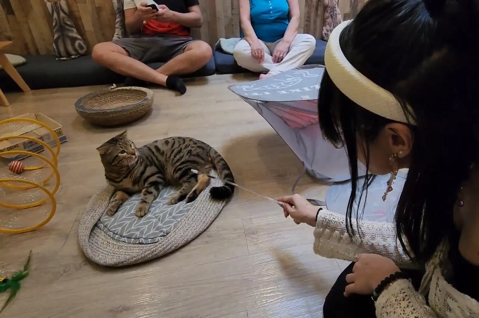 Visitor playing with a Bengal cat using a teaser wand while other guests relax inside Meomi Cat Cafe Singapore.